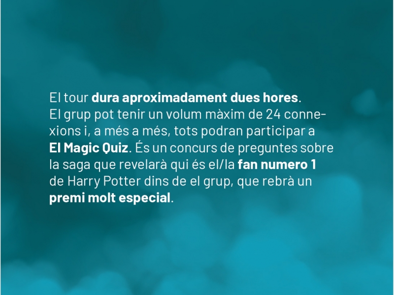 Sorteig! Harry Potter en Streaming (2)