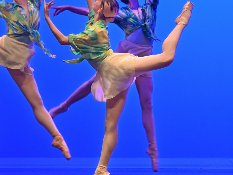 Escuela Ballet David Campos (12)